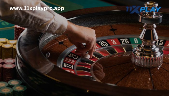 Spin, Win & Enjoy Real Casino Thrills