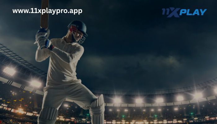 How to Start Cricket Betting on 11xplay