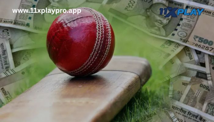 Betting Options Available