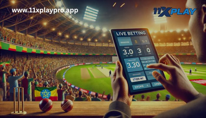 11xplay Cricket Betting – Bet Live on Your Favorite Matches