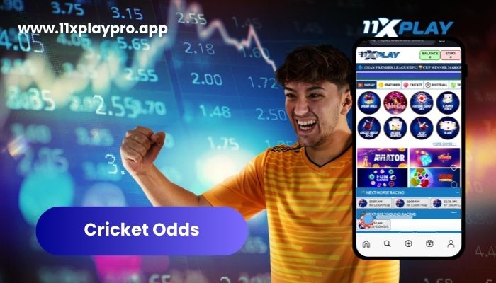 Cricket Odds & How They Work on 11xplay